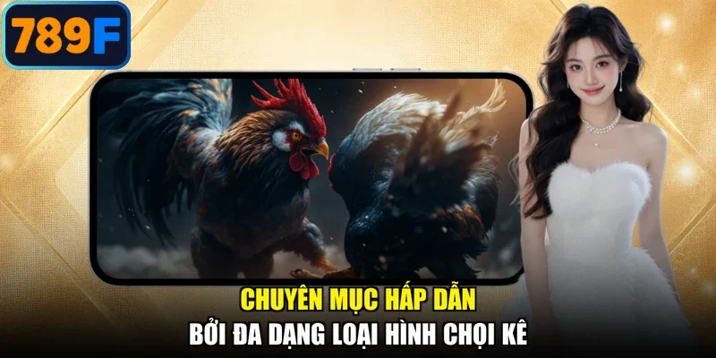 Chuyên mục hấp dẫn bởi đa dạng loại hình chọi kê