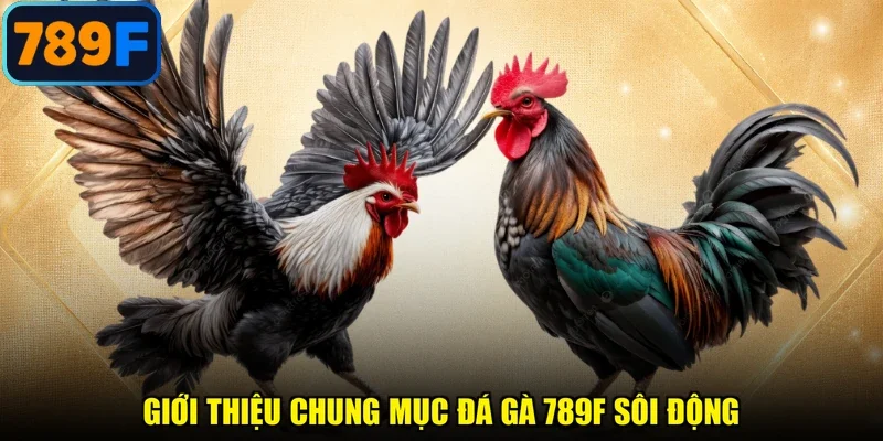 Giới thiệu chung mục đá gà 789F sôi động